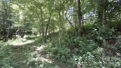 00 Big Ridge Road Glenville NC 28736