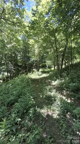 00 Big Ridge Road Glenville NC 28736