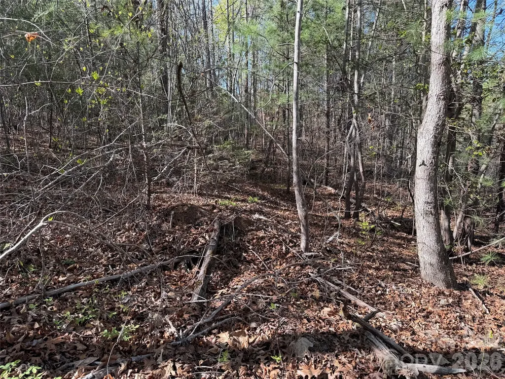 0 Denton Avenue Morganton NC 28655