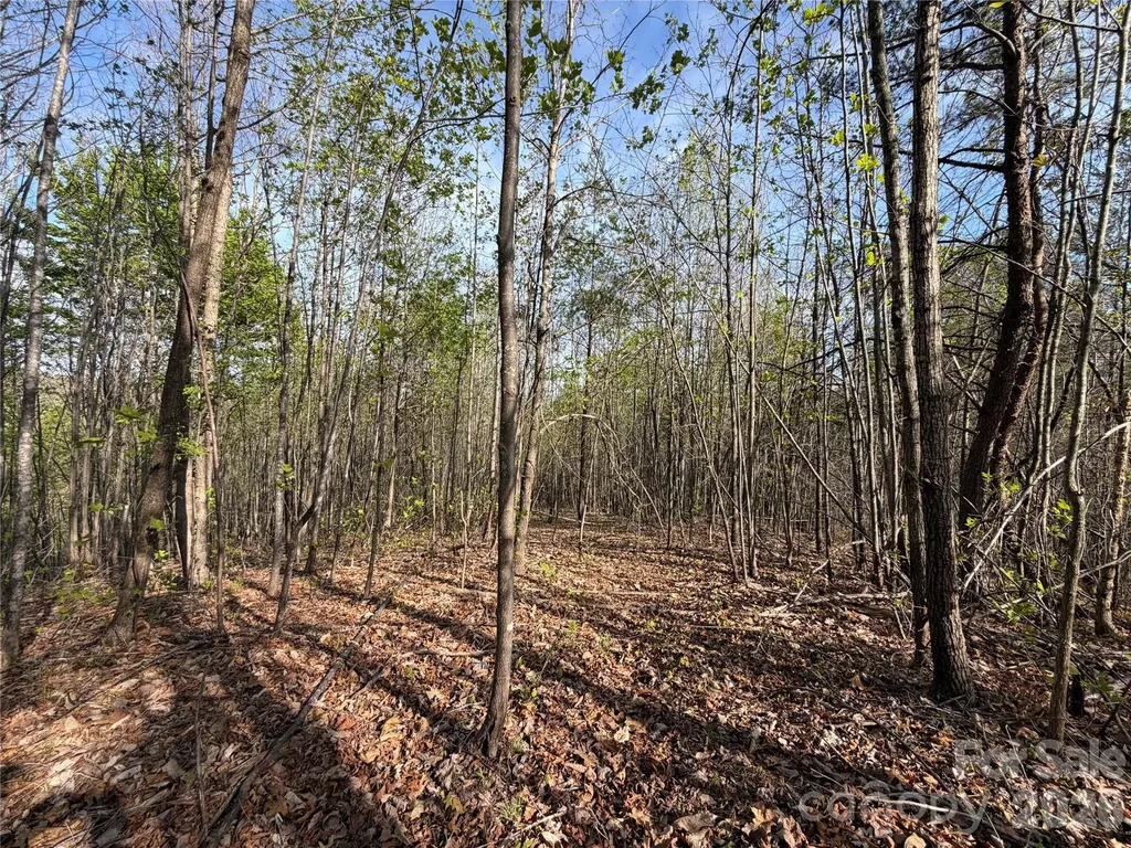 0 Denton Avenue Morganton NC 28655