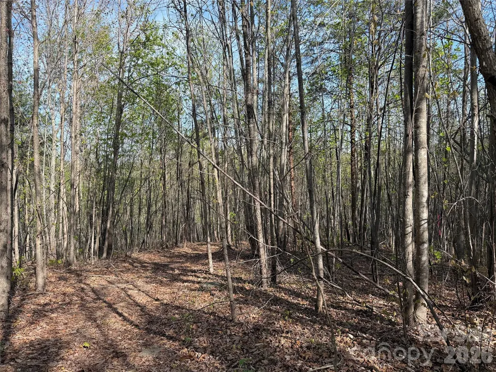 0 Denton Avenue Morganton NC 28655