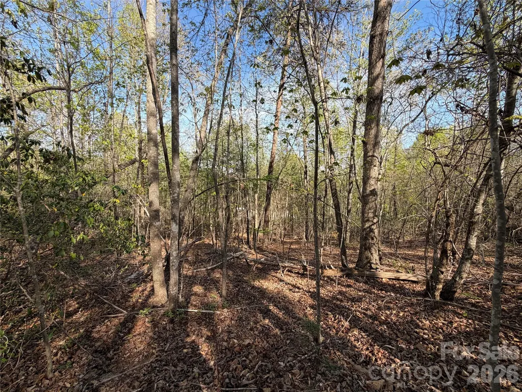 0 Denton Avenue Morganton NC 28655