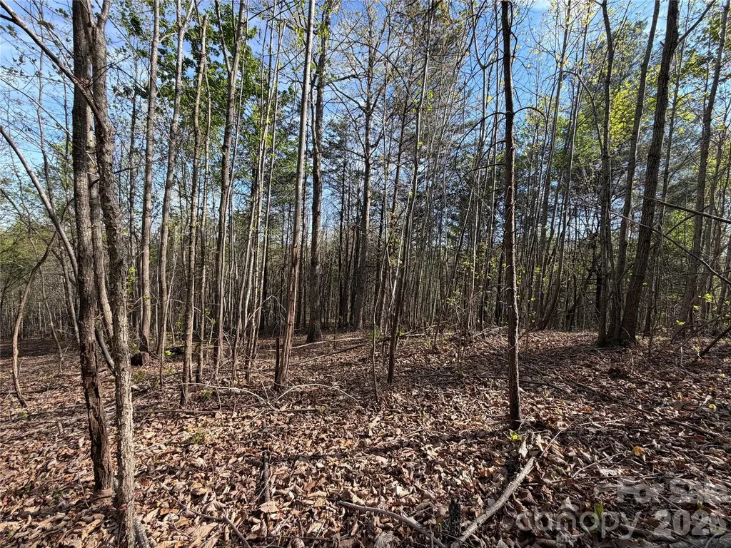 0 Denton Avenue Morganton NC 28655