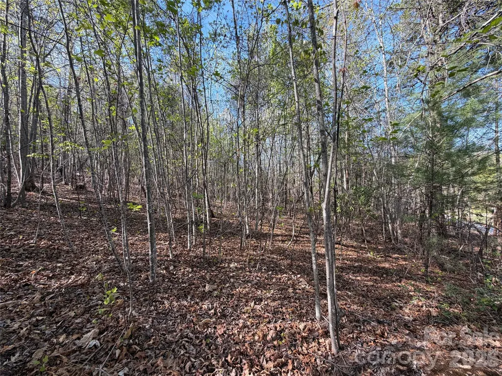 0 Denton Avenue Morganton NC 28655