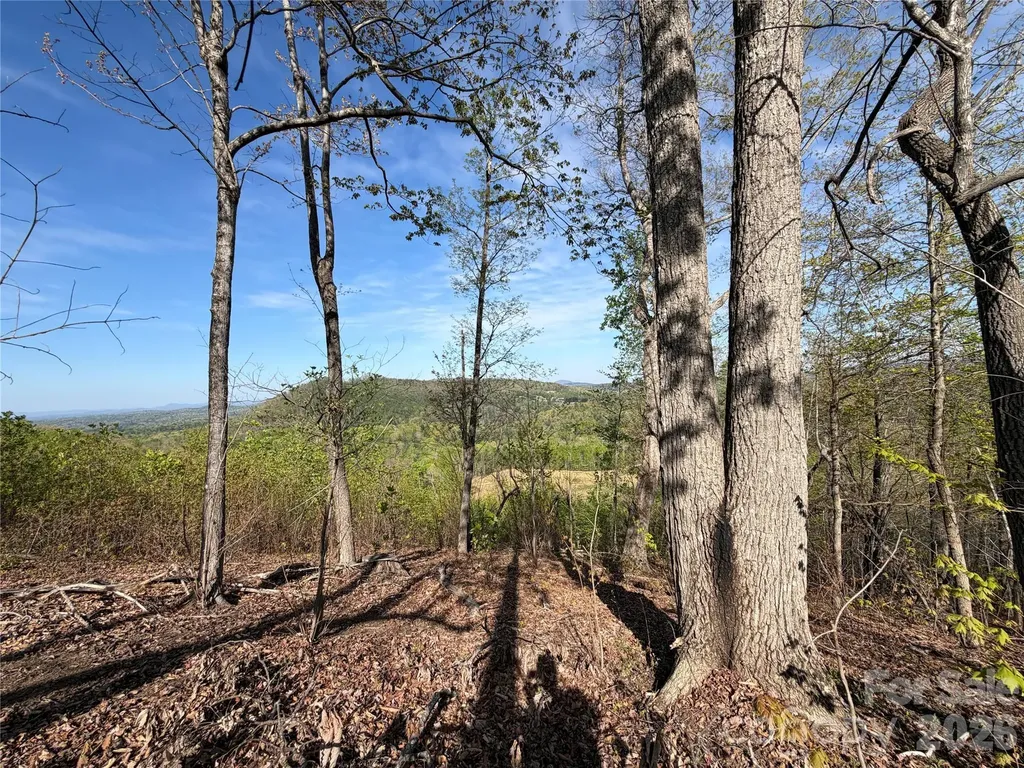 0 Denton Avenue Morganton NC 28655