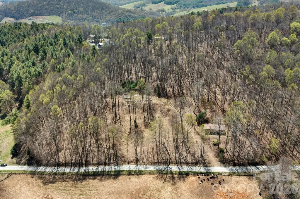 0 Walnut Branch Church Road Sparta NC 28675