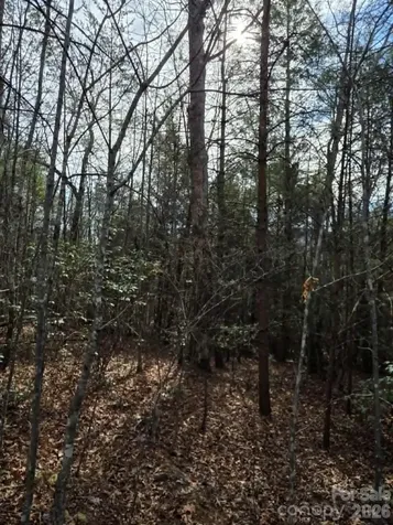 Lot 6 Kerlee Lane Old Fort NC 28762