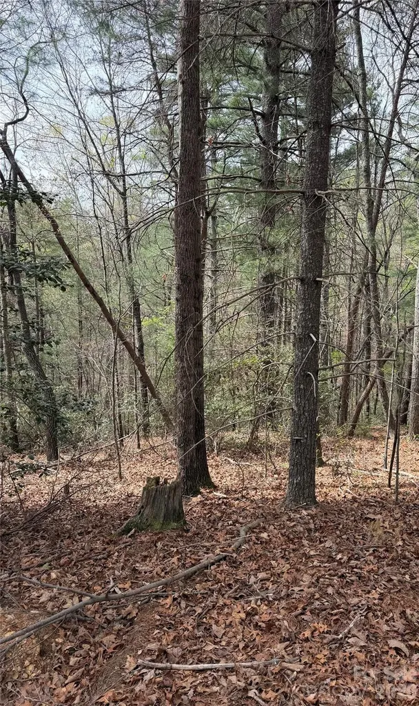 5080 Tucker Drive Morganton NC 28655