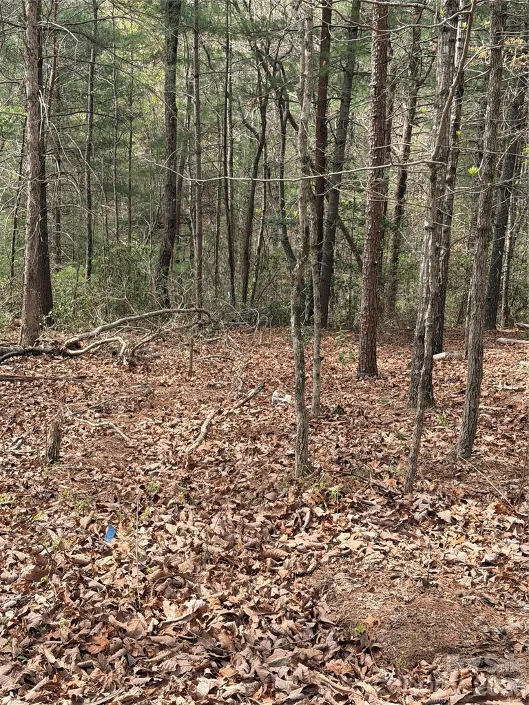 5080 Tucker Drive Morganton NC 28655