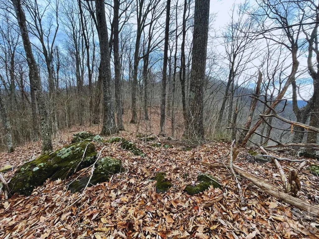 135 Gavin Glen Road Weaverville NC 28787