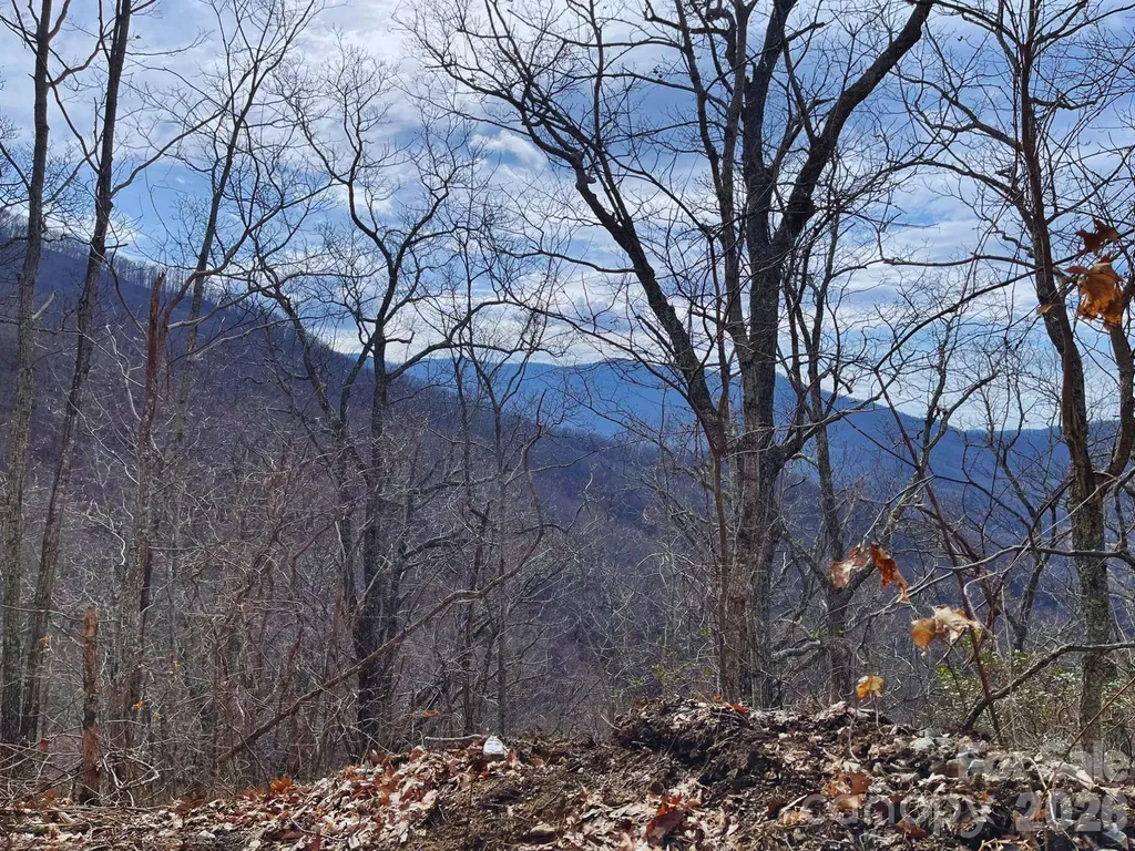 135 Gavin Glen Road Weaverville NC 28787
