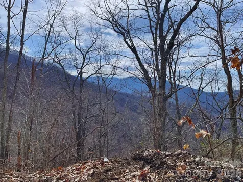 135 Gavin Glen Road Weaverville NC 28787