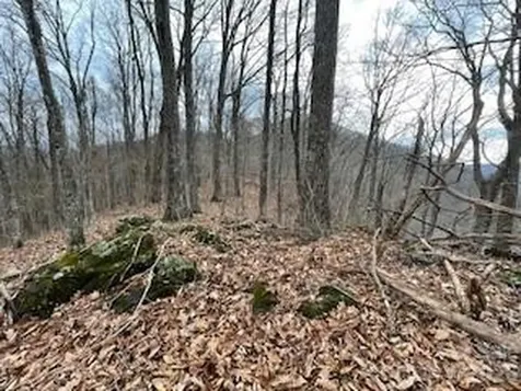 135 Gavin Glen Road Weaverville NC 28787