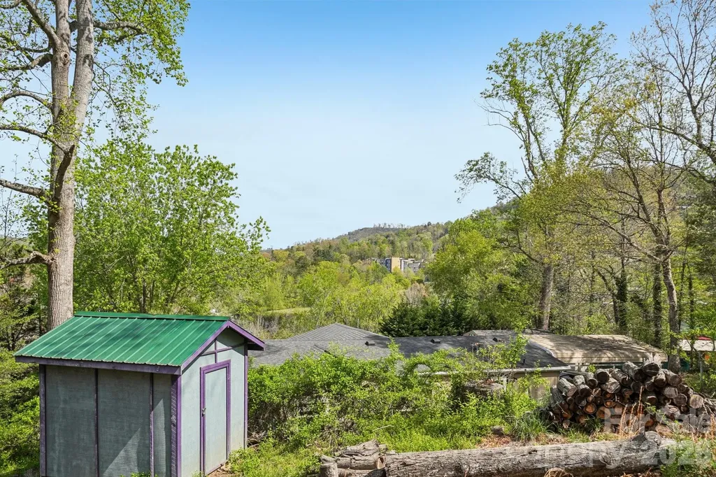 25 Moore Street Woodfin NC 28804