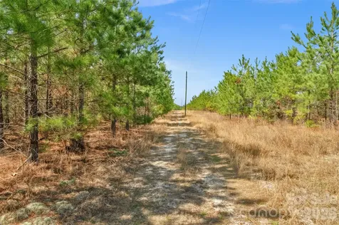 931 Charlie Johnson Road Kershaw SC 29067