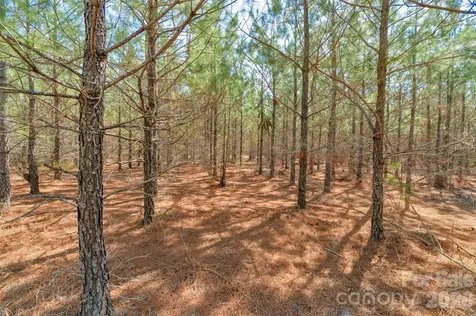931 Charlie Johnson Road Kershaw SC 29067