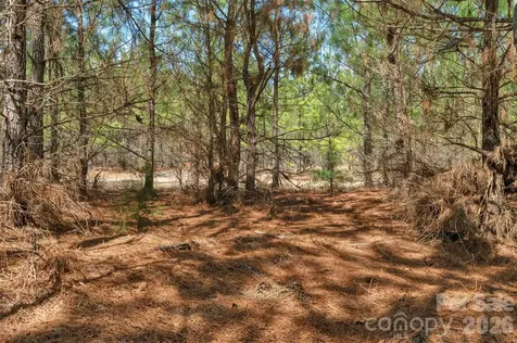 931 Charlie Johnson Road Kershaw SC 29067
