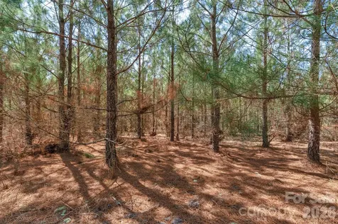 931 Charlie Johnson Road Kershaw SC 29067