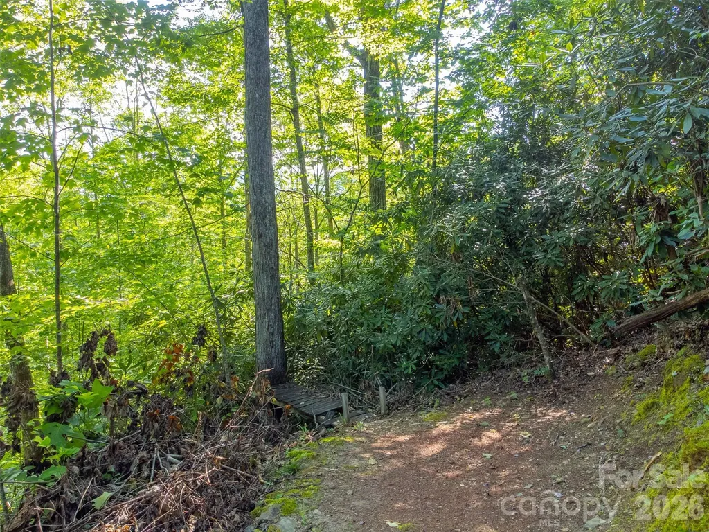 283 Briggs Cove Road Robbinsville NC 28771