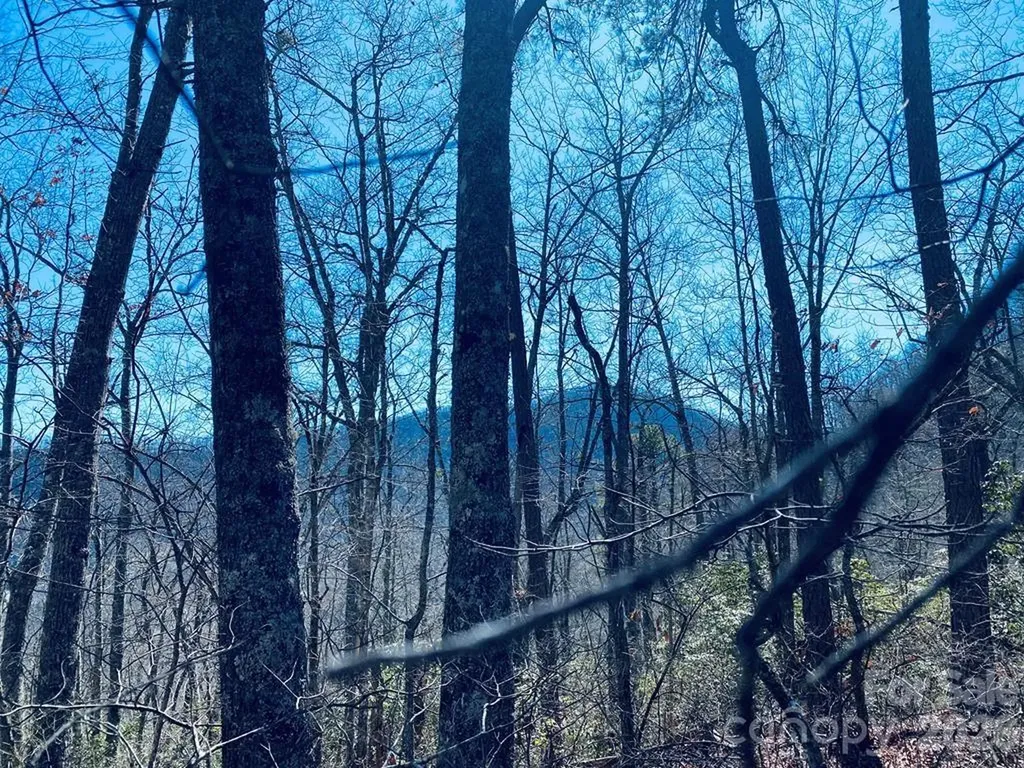 Lot 26 Red Hawk Bluff Sylva NC 28779