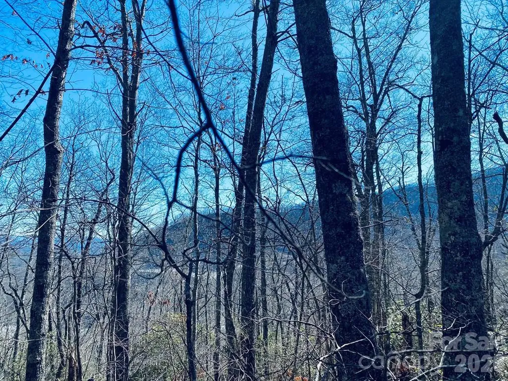 Lot 26 Red Hawk Bluff Sylva NC 28779