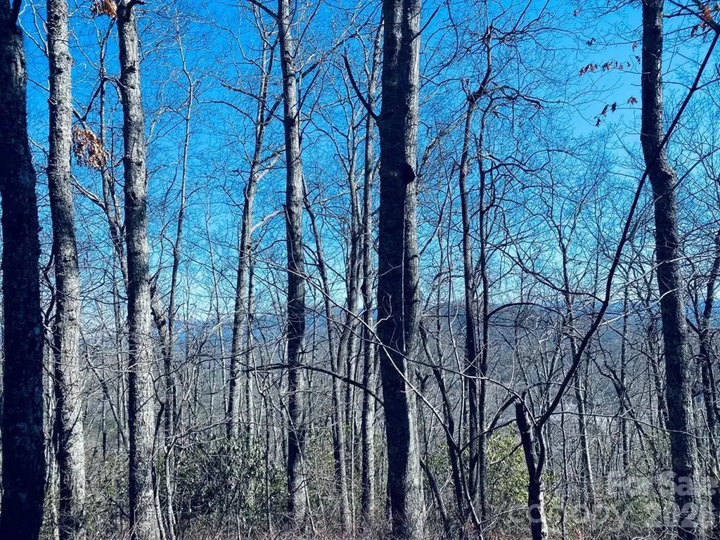 Lot 26 Red Hawk Bluff Sylva NC 28779