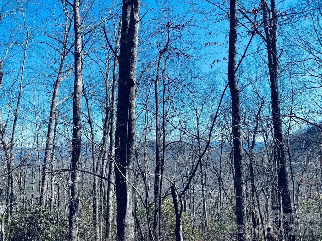 Lot 26 Red Hawk Bluff Sylva NC 28779