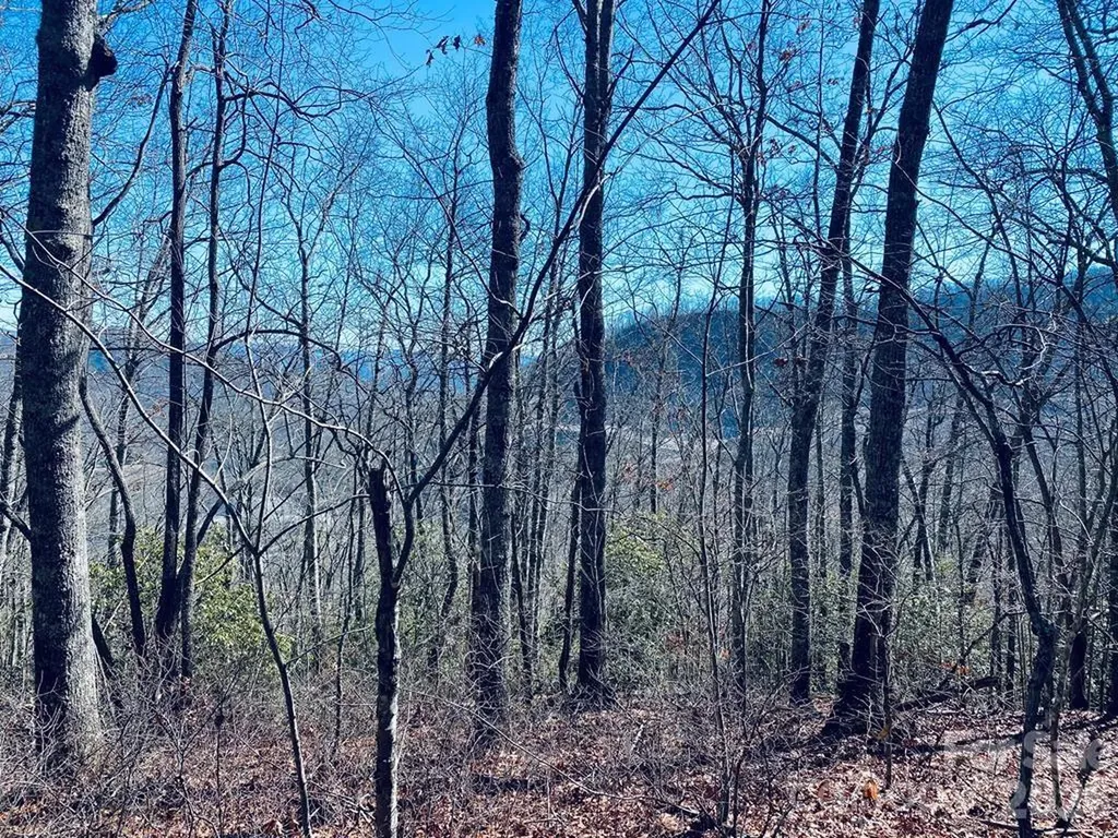Lot 26 Red Hawk Bluff Sylva NC 28779