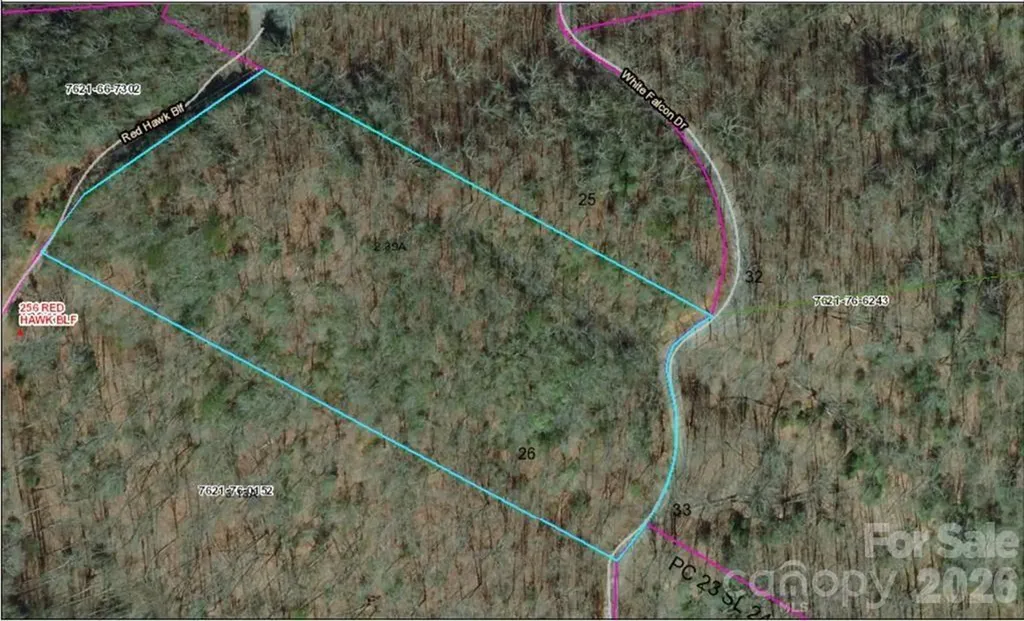 Lot 26 Red Hawk Bluff Sylva NC 28779