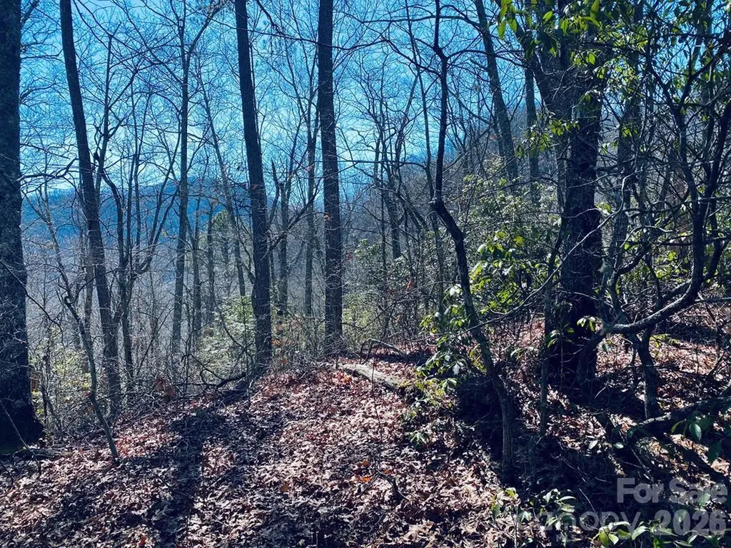 Lot 26 Red Hawk Bluff Sylva NC 28779