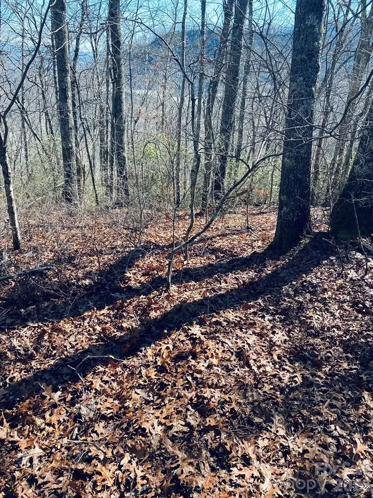 Lot 26 Red Hawk Bluff Sylva NC 28779