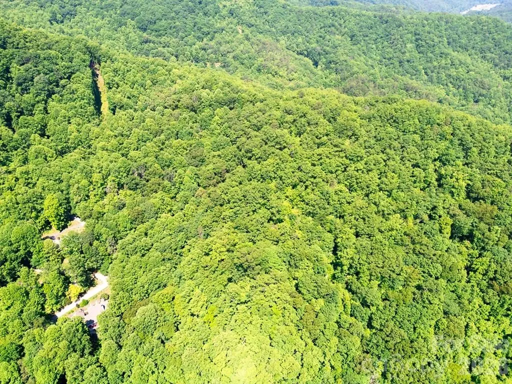 Lot 26 Red Hawk Bluff Sylva NC 28779