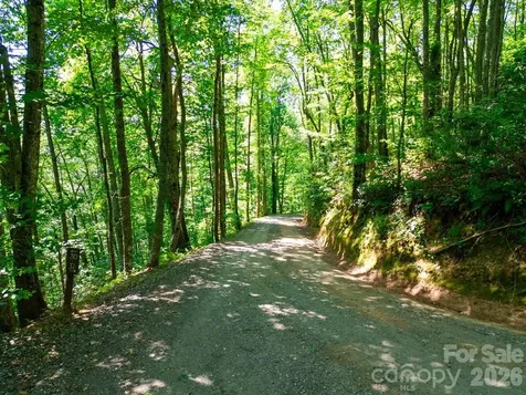 Lot 26 Red Hawk Bluff Sylva NC 28779