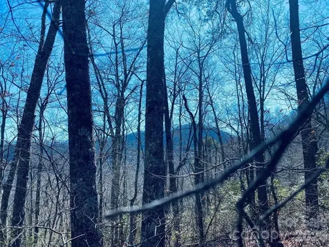 Lot 26 Red Hawk Bluff Sylva NC 28779