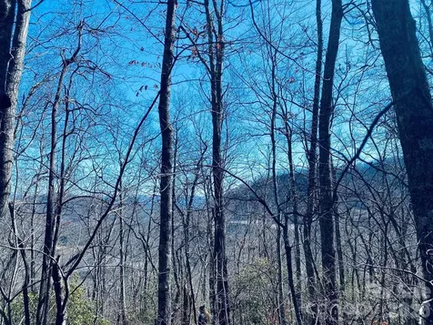Lot 26 Red Hawk Bluff Sylva NC 28779
