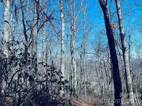 Lot 26 Red Hawk Bluff Sylva NC 28779