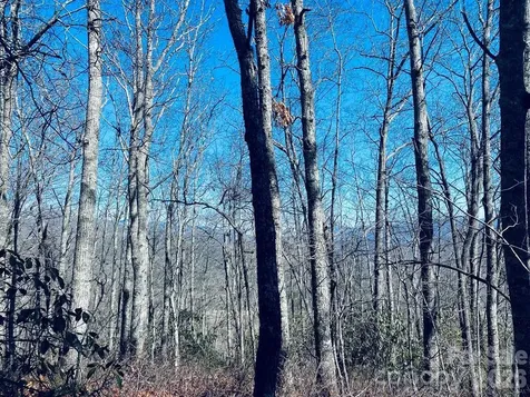 Lot 26 Red Hawk Bluff Sylva NC 28779