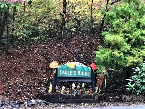 Lot 26 Red Hawk Bluff Sylva NC 28779