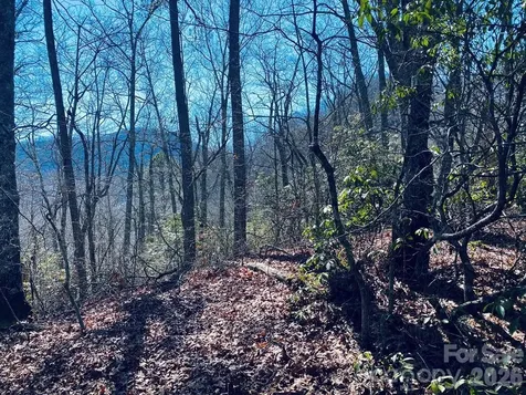 Lot 26 Red Hawk Bluff Sylva NC 28779