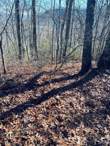 Lot 26 Red Hawk Bluff Sylva NC 28779