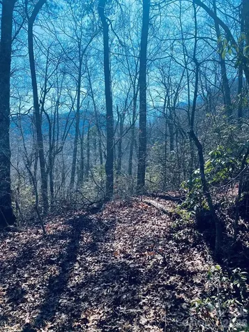 Lot 26 Red Hawk Bluff Sylva NC 28779