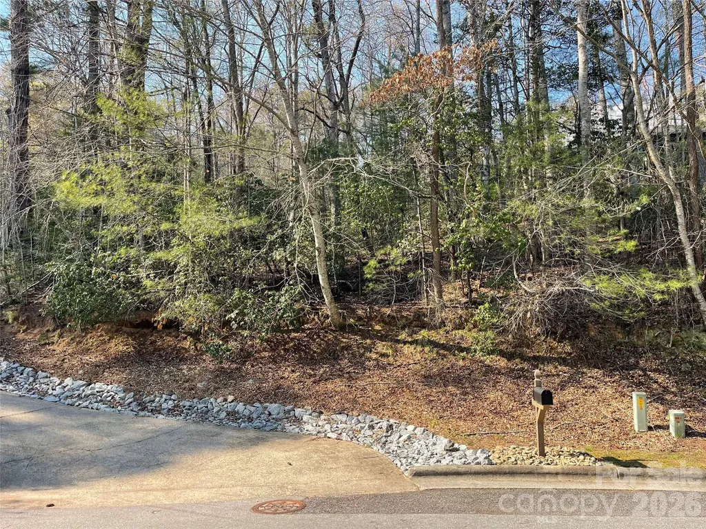 Lot 61 Deerlake Drive Brevard NC 28712