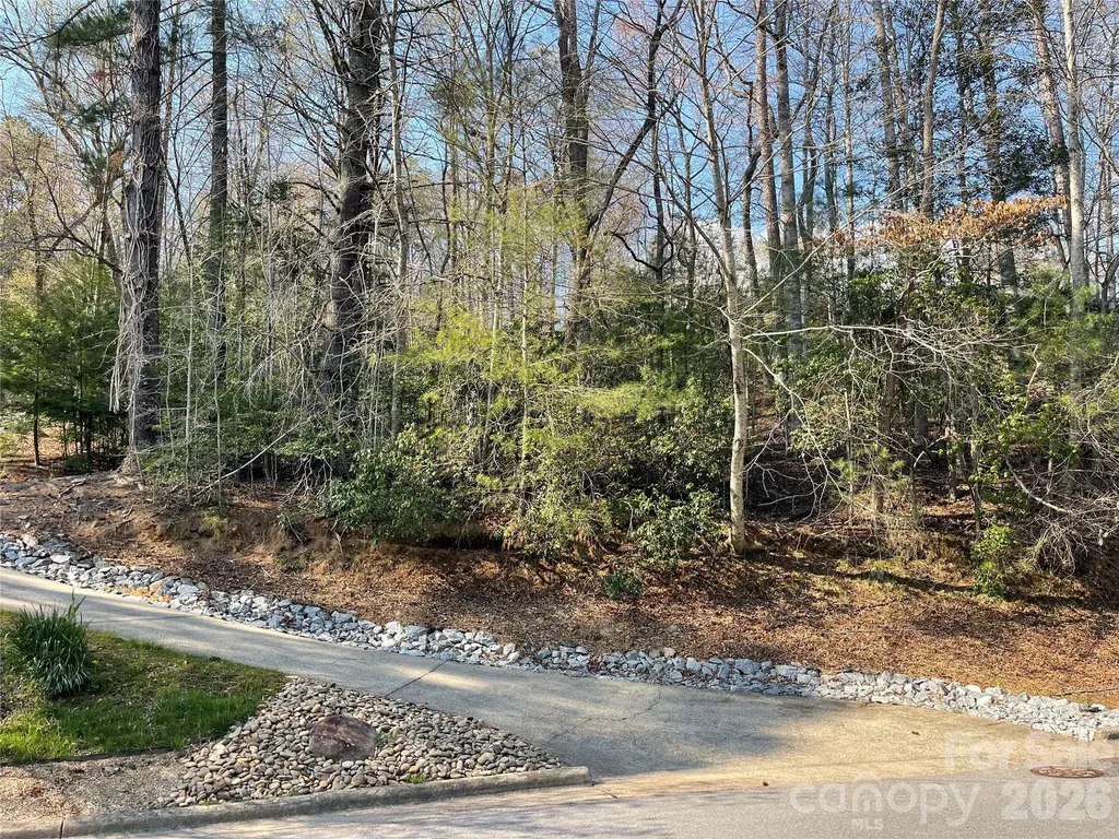 Lot 61 Deerlake Drive Brevard NC 28712
