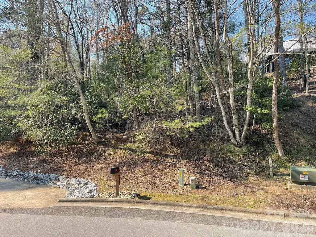 Lot 61 Deerlake Drive Brevard NC 28712