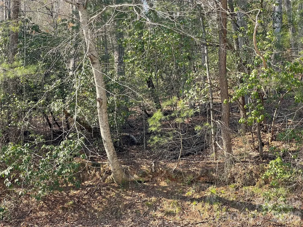 Lot 61 Deerlake Drive Brevard NC 28712