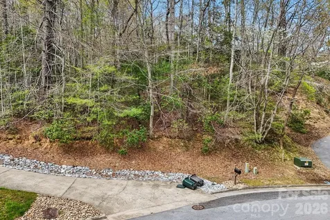 Lot 61 Deerlake Drive Brevard NC 28712