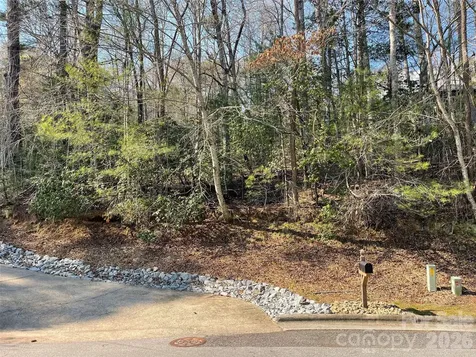 Lot 61 Deerlake Drive Brevard NC 28712