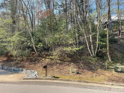 Lot 61 Deerlake Drive Brevard NC 28712