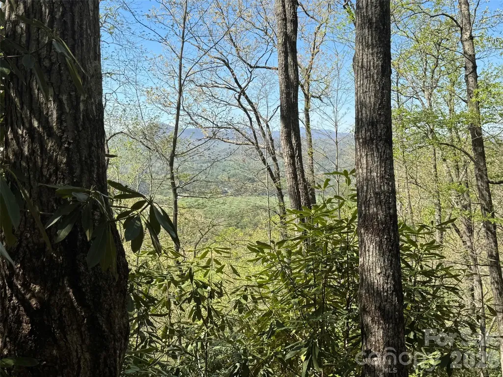 33 Reserve Road Pisgah Forest NC 28768