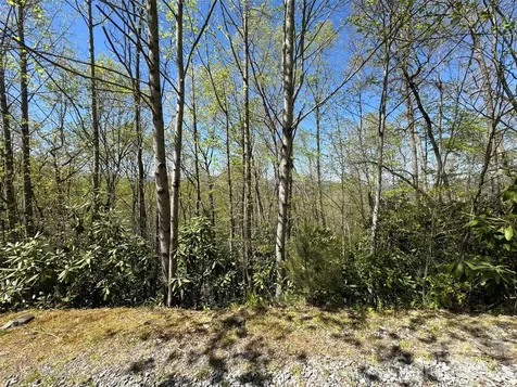 33 Reserve Road Pisgah Forest NC 28768